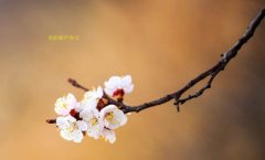在這春暖花開的季節(jié)，歡迎你們加入知道網(wǎng)絡(luò)