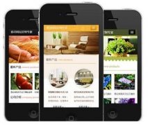 手機(jī)網(wǎng)站怎樣做才更有效果？如何做優(yōu)化？
