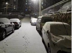 青島！大雪！大愛！