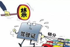 青島的朋友們注意啦，9月起禁止使用他人駕照銷