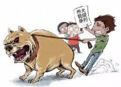 青島10月份一大波勁爆消息，你知道嗎？
