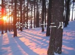 抓住2016年的尾巴給自己充充電！12月，加油！
